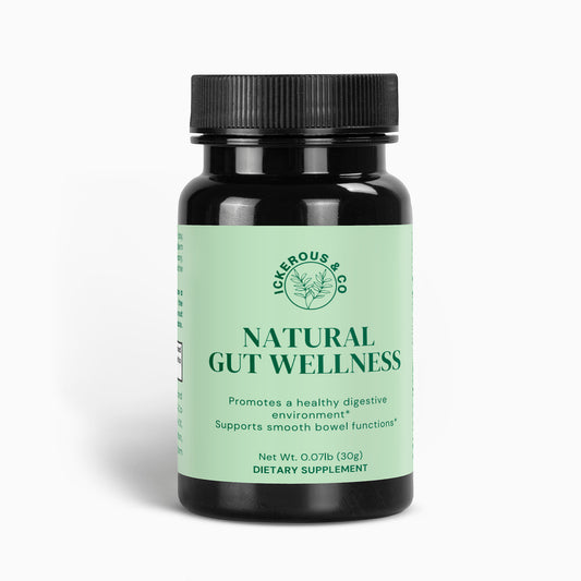 Natural Gut Wellness Powder