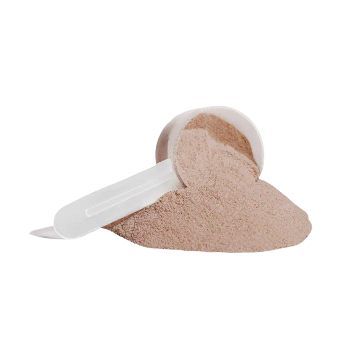 Plant Protein Chocolate